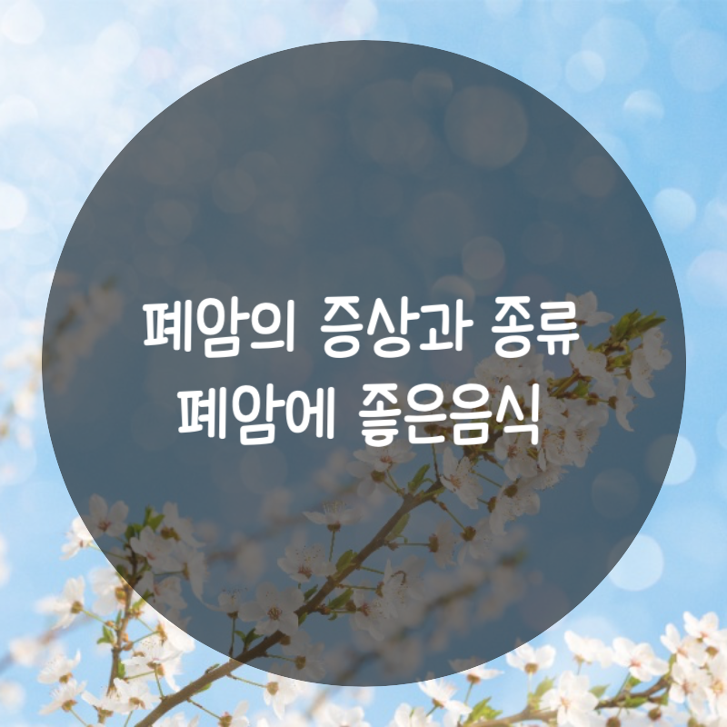 폐암의 증상과 종류, 폐암에 좋은음식 글자 이미지