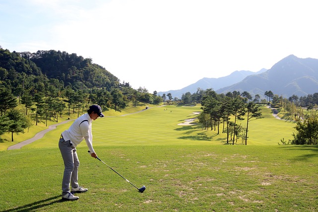 성주참외파크골프 예약