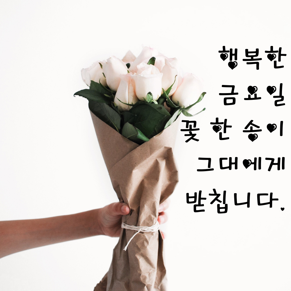 금요일 아침 인사말 문구 이미지 모음