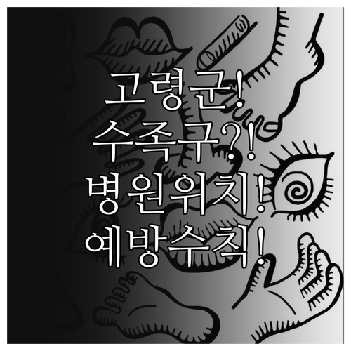 고령군 수족구 병원 위치와 예방 수칙..