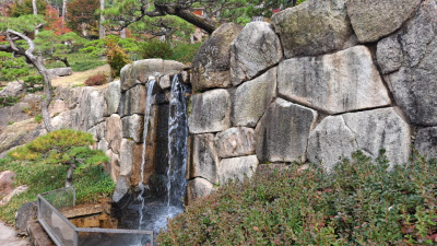 단풍명소_화담숲_소나무정원