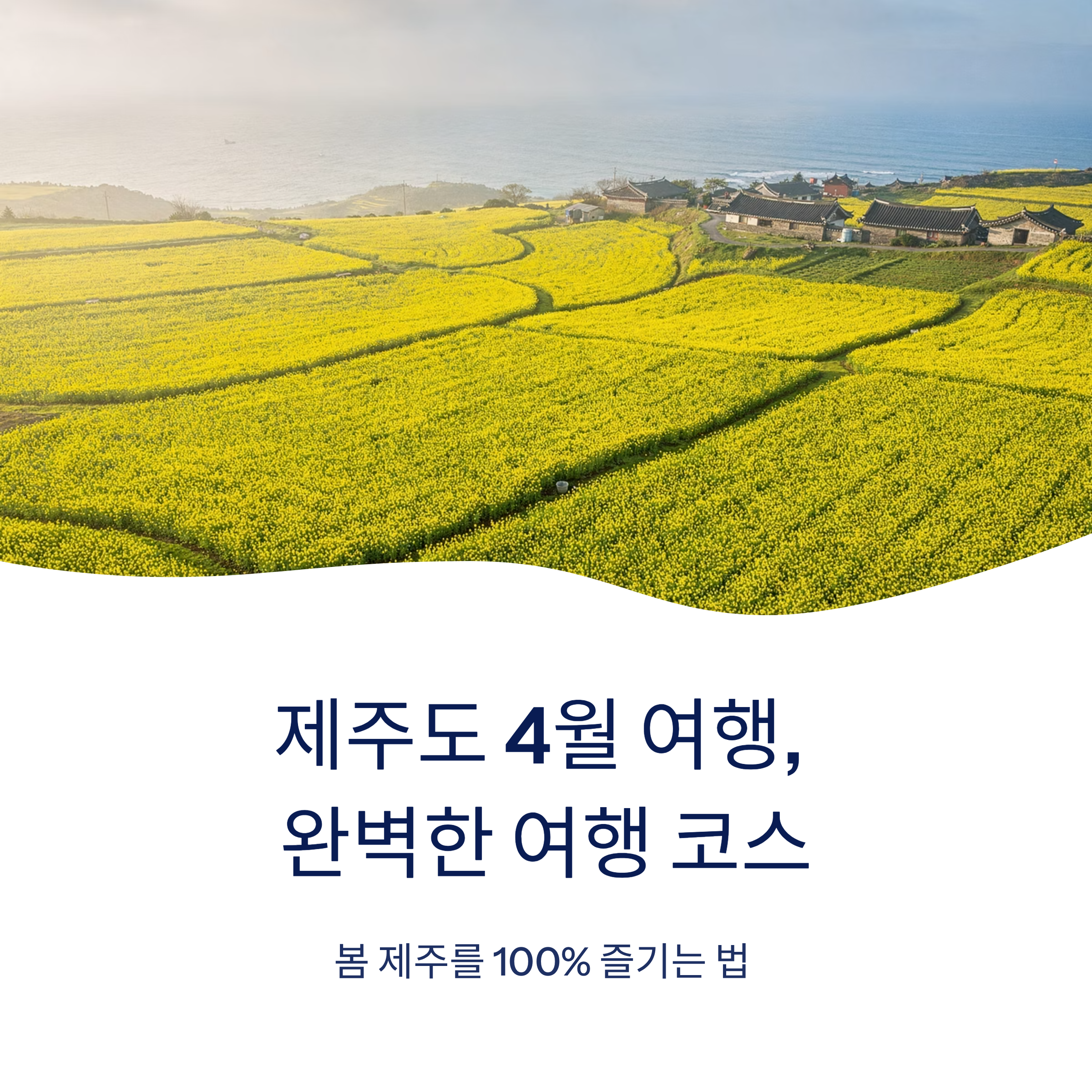 제주도 4월 여행, 완벽한 여행 코스