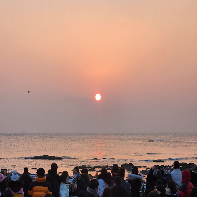 2026년 닭띠 신년운세 무료보기