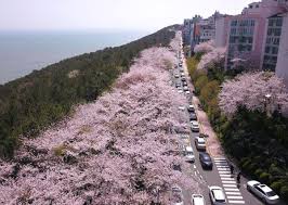 대한민국 숙박세일페스타