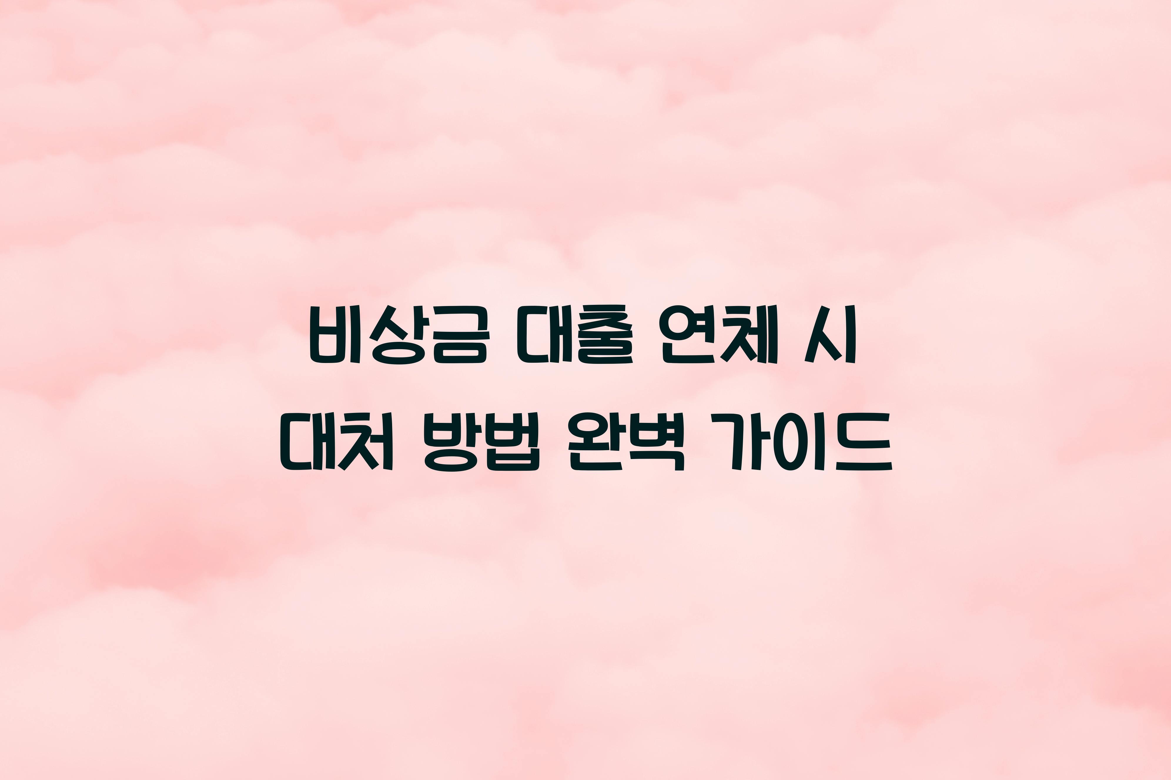 비상금 대출 연체 시 대처