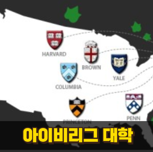 아이비리그 대학