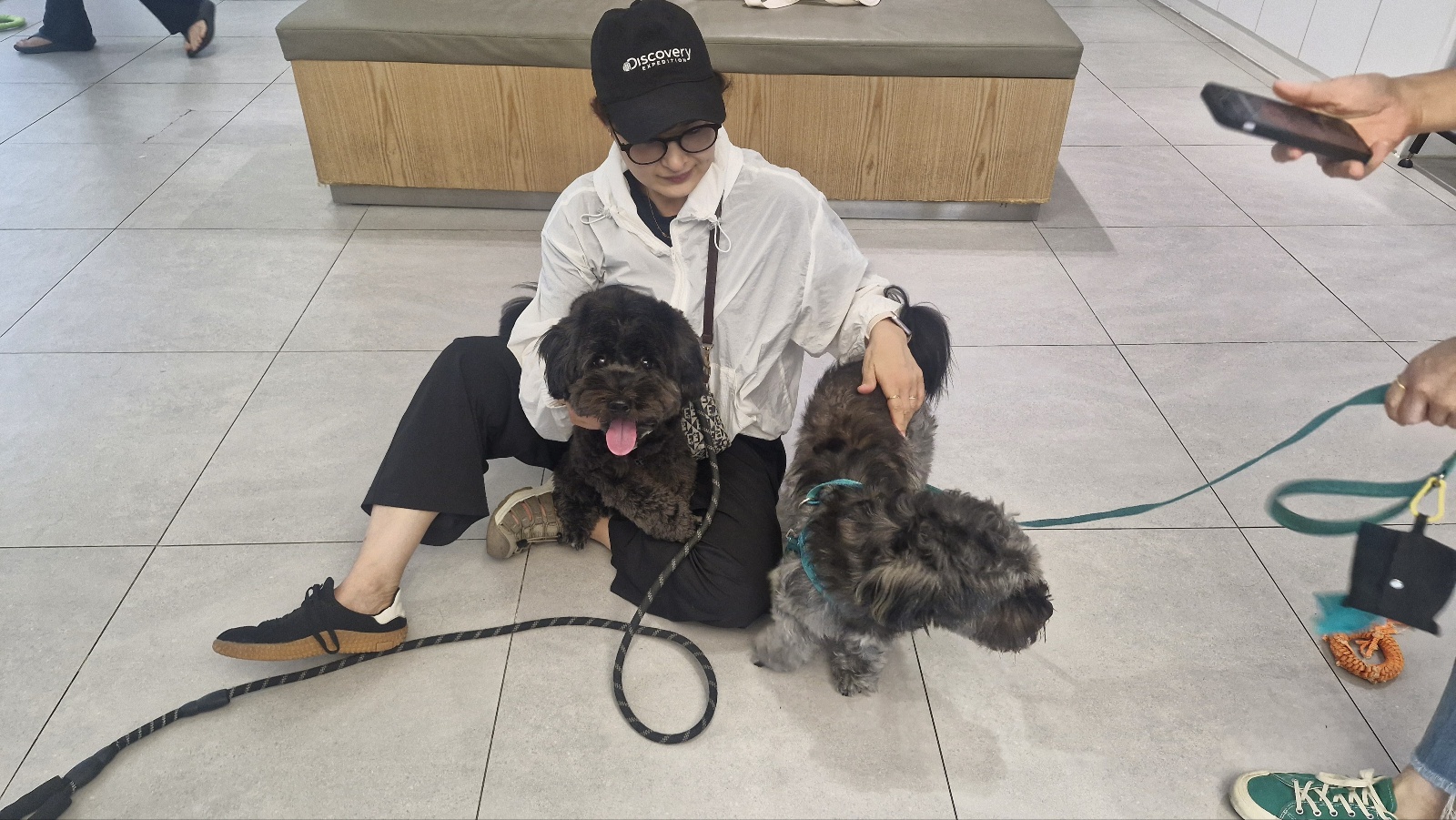 요즘 떠는 견종 질병 위험도 비교(푸들,말티즈,시바)