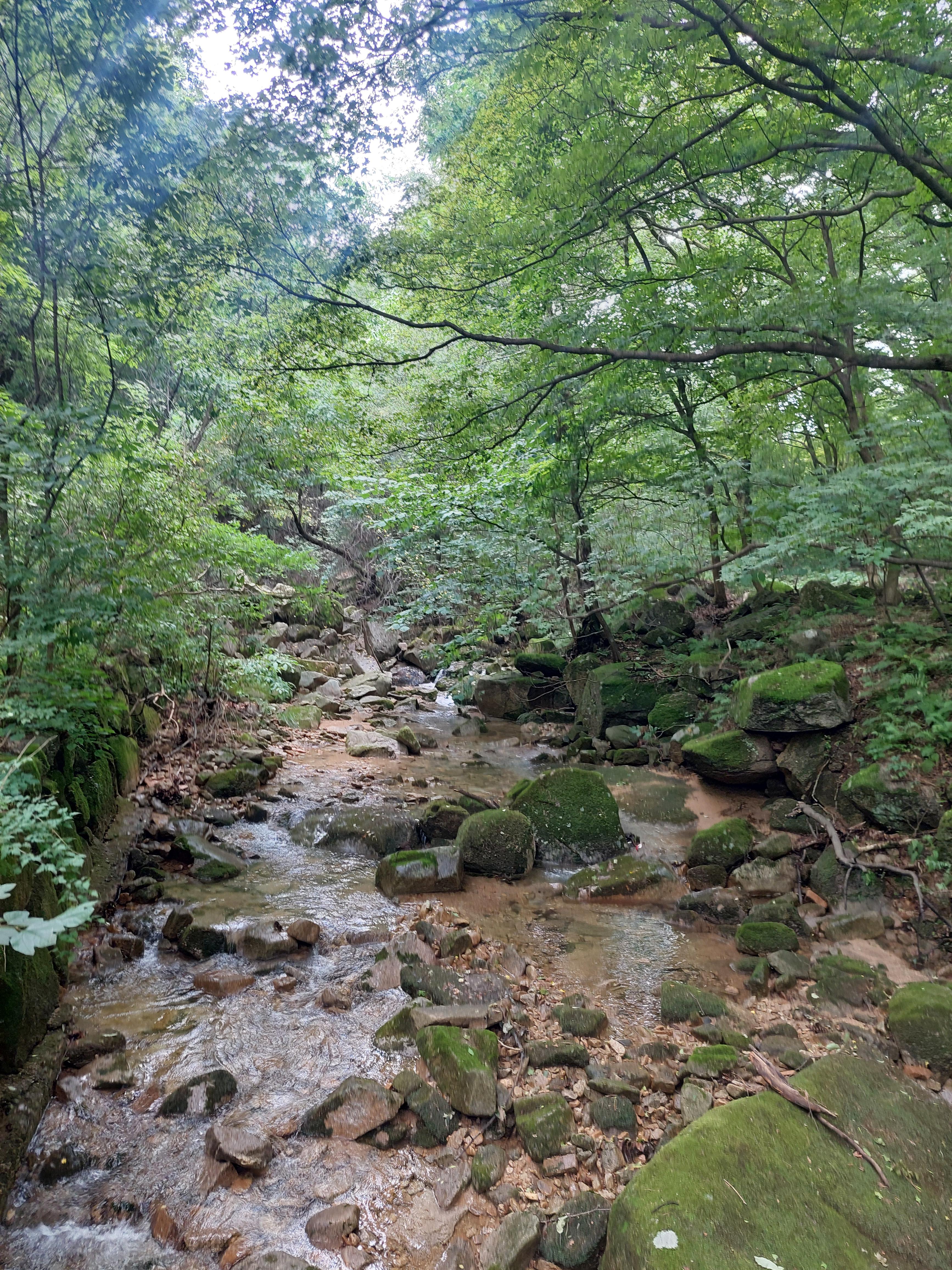 대남문