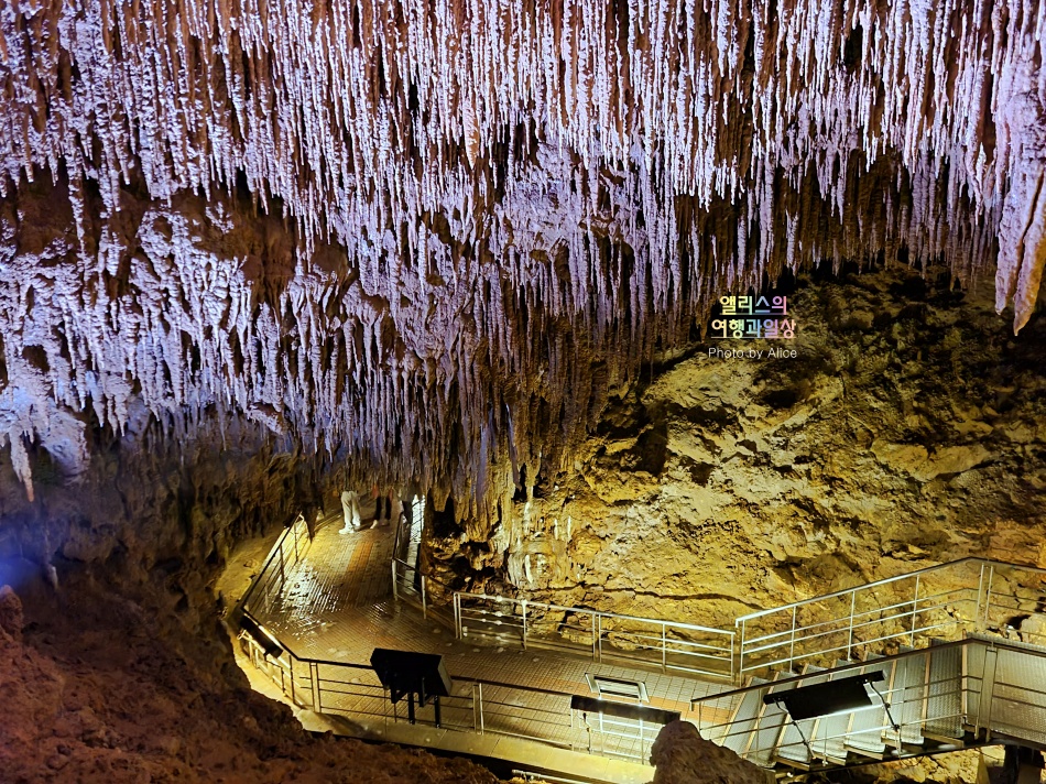 오키나와 남부 버스투어 솔직후기 가격 시간 오키나와 월드