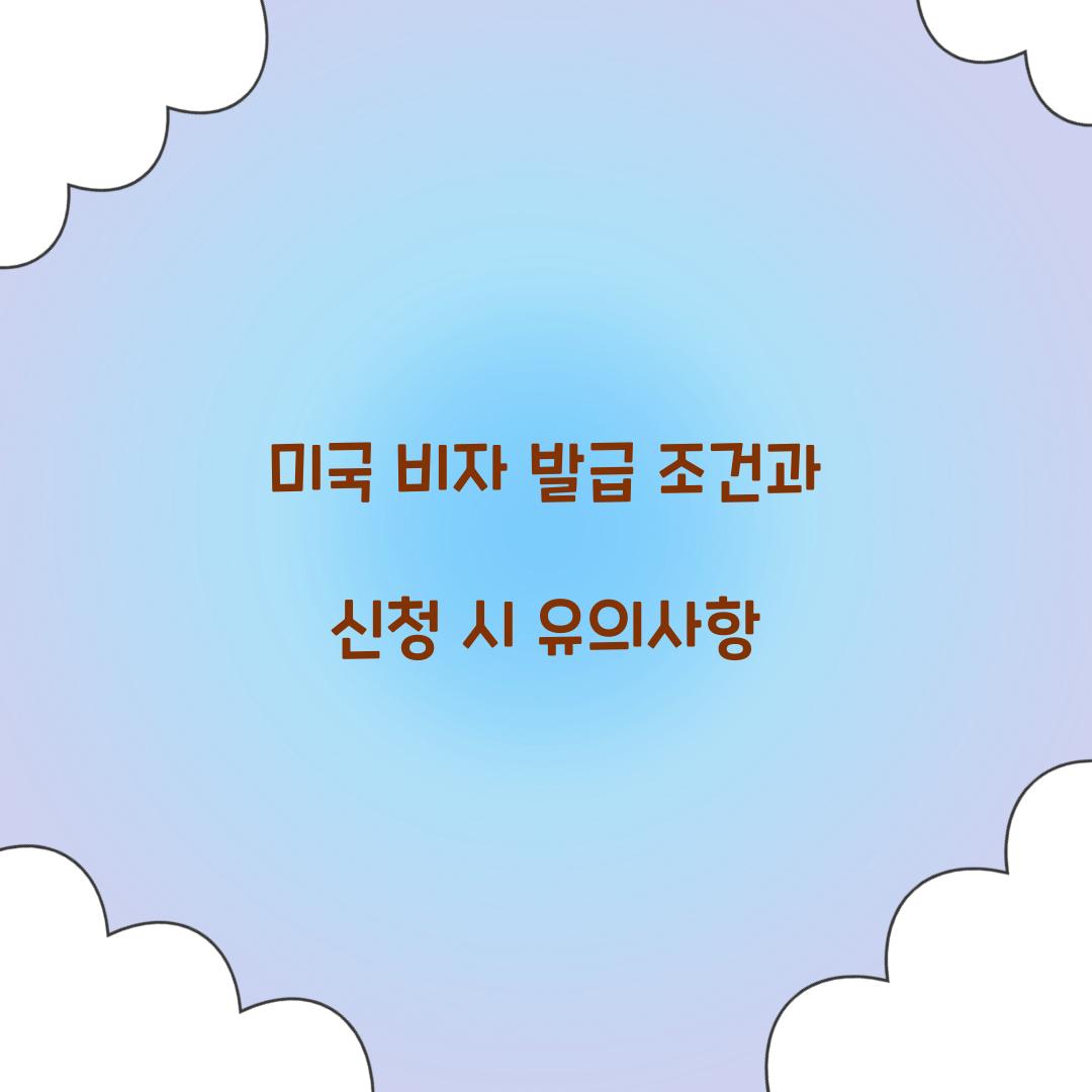 미국 비자 발급