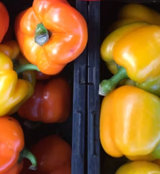 파프리카 효능 부작용 고르는법 칼로리