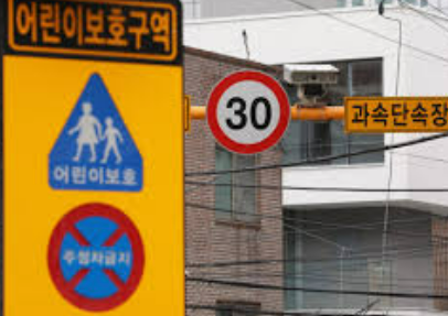 신호위반 단속 종류