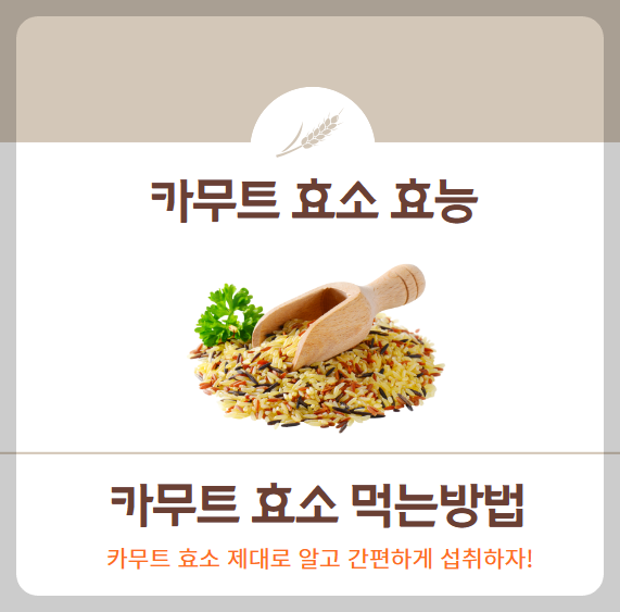 카무트 효소 효능