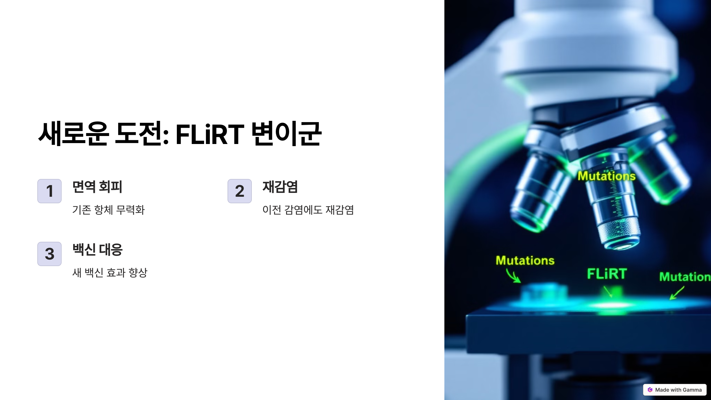 코로나 변이를 관찰하는 현미경 사진