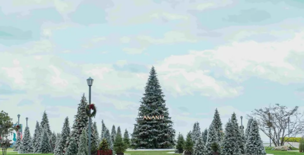 부산 크리스마스 명소 가볼만한곳 TOP 7