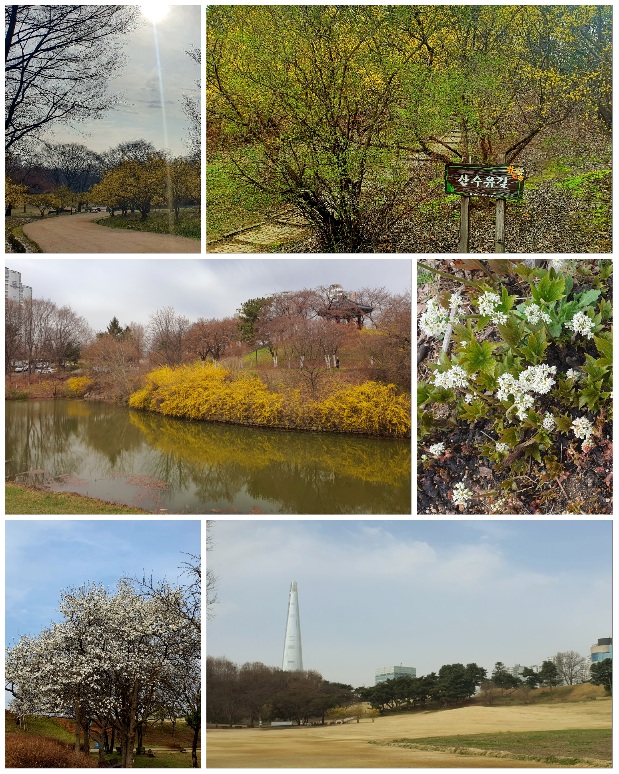 올림픽공원의-아침은-매우-평화롭습니다.