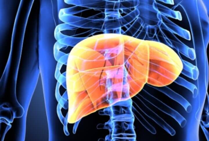 간이 안좋을때 나타나는 증상 피로감