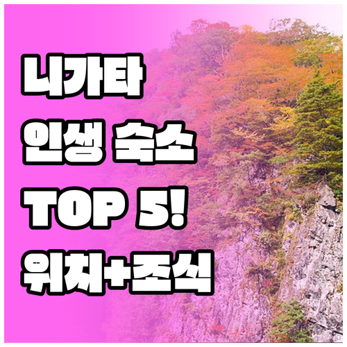 일본 니가타 숙소 추천 TOP 5 위..