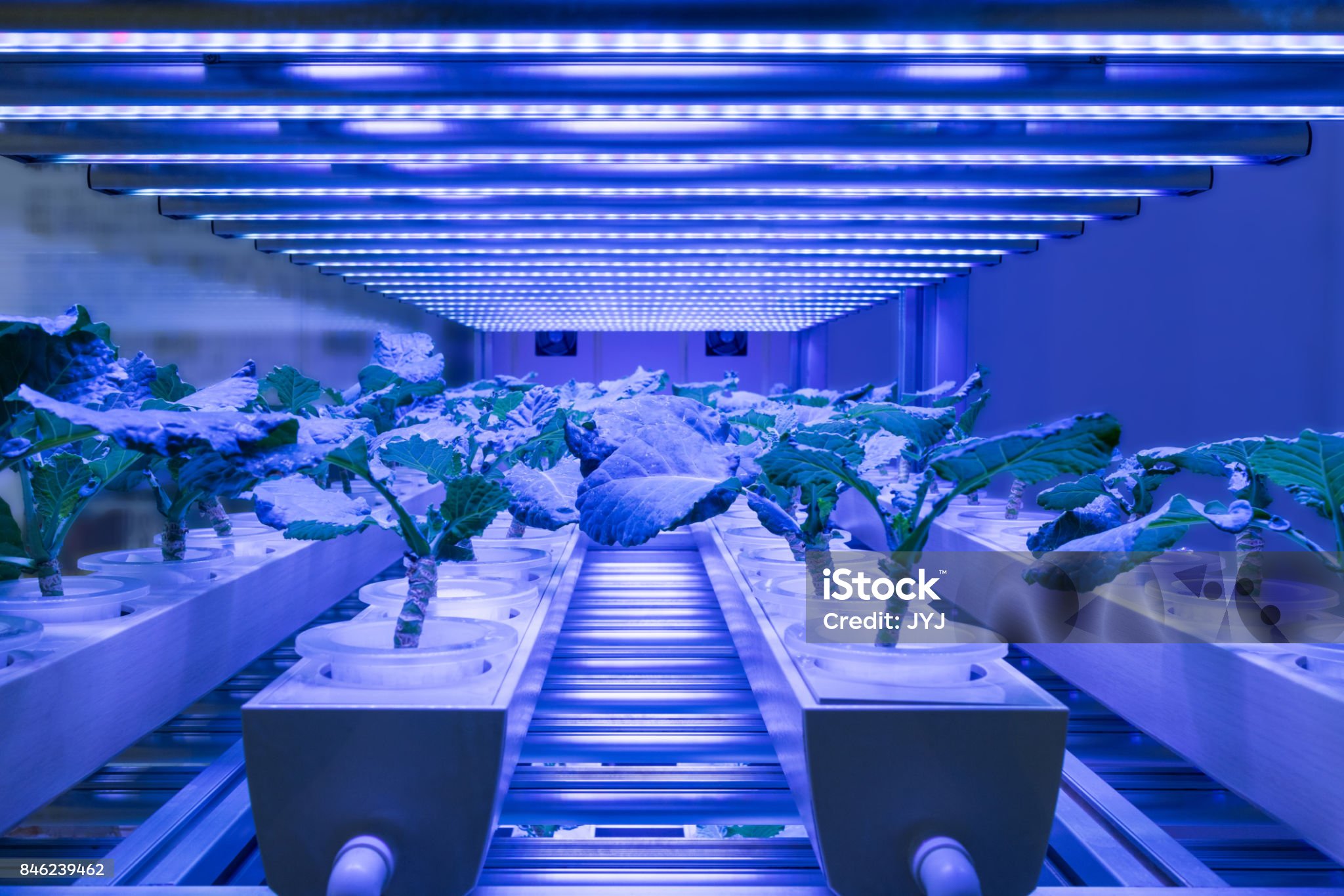 스마트팜 솔루션