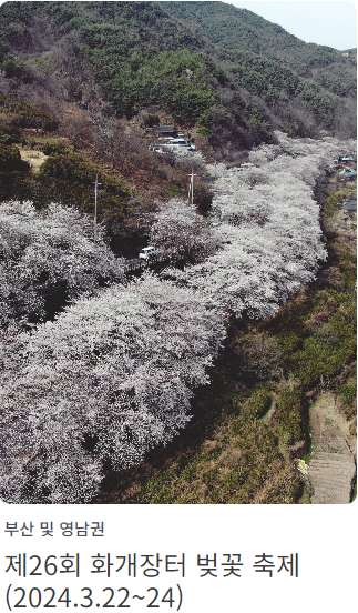 화개장터 벚꽃축제