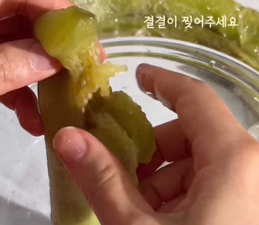 가지요리 : 가지육회