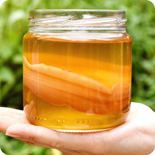 콤부차-만드는-법