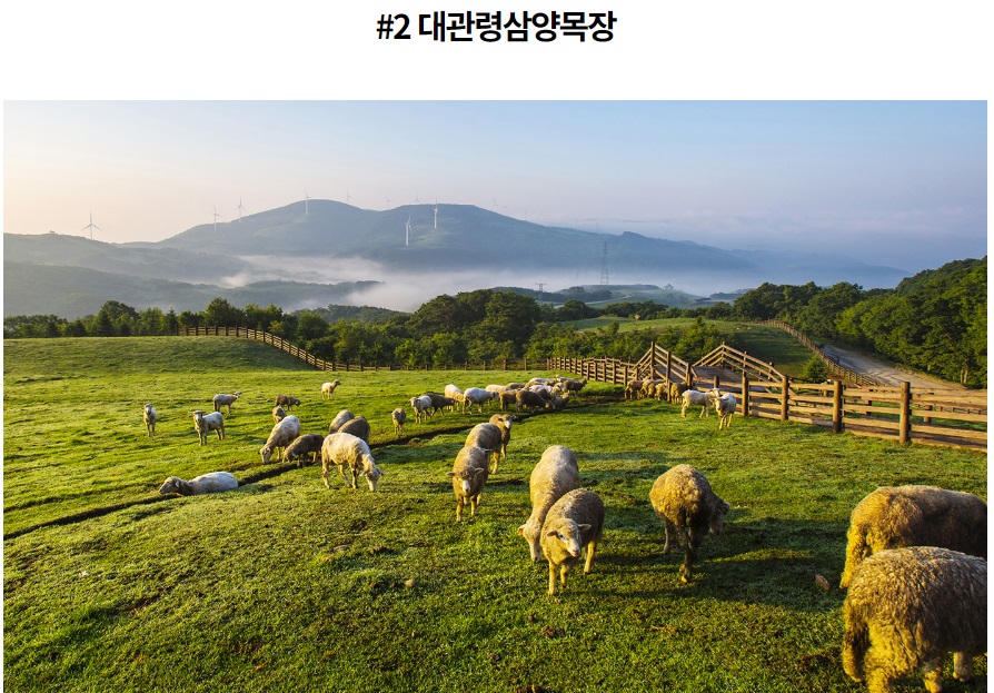 대관령눈꽃축제