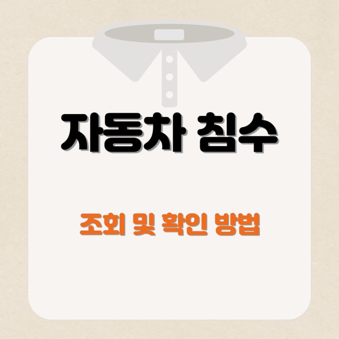 침수차량 조회 및 구별 방법