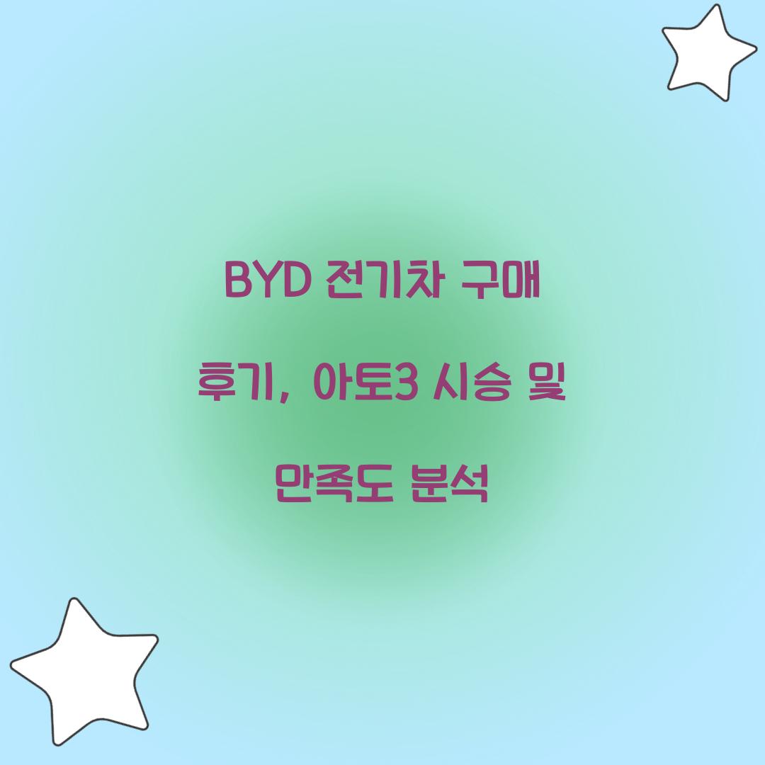 BYD 전기차 구매 후기