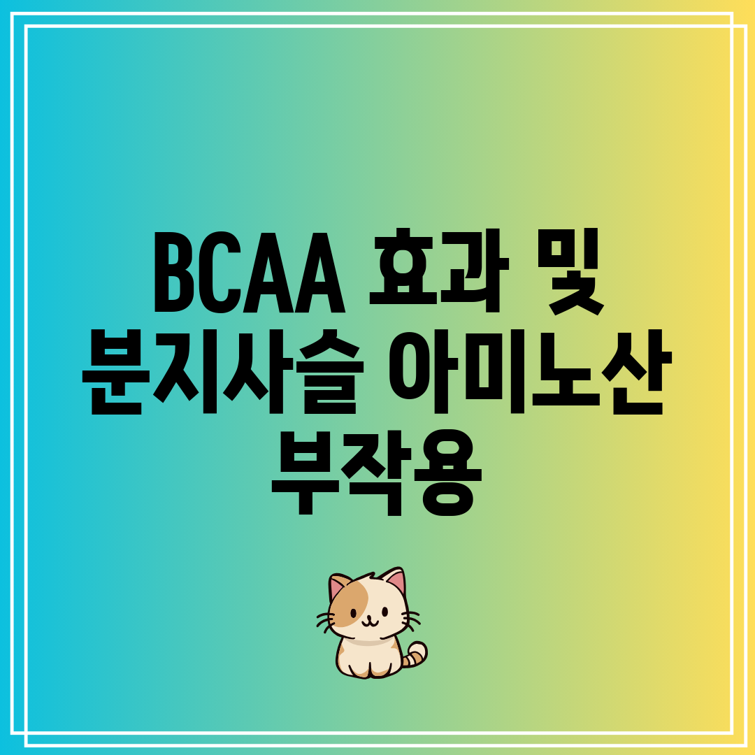 BCAA 효과 및 분지사슬 아미노산 부작용