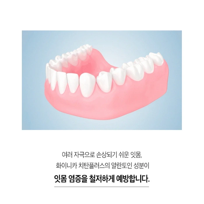 치탄플러스 부작용 후기 효능 가격 실제 효과