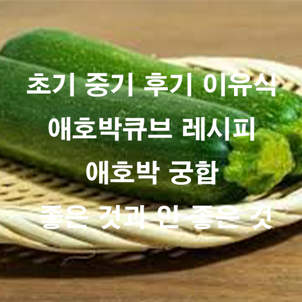 초기 중기 후기 이유식 애호박큐브 레시피 애호박 궁합 좋은 것과 안 좋은 것