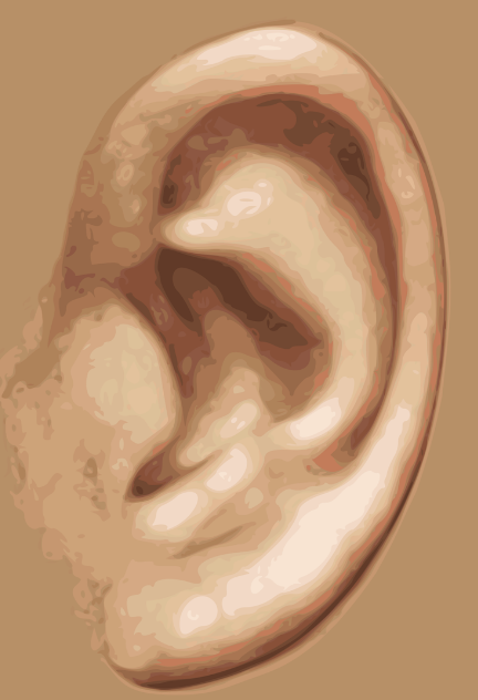 요즘 가장 자주 듣는 말