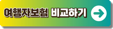 해외여행자 보험 비교 사이트 링크