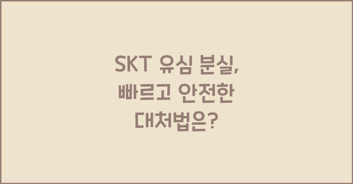 skt 유심 분실