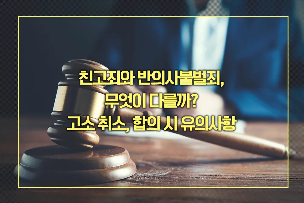 친고죄 반의사불벌죄 차이점