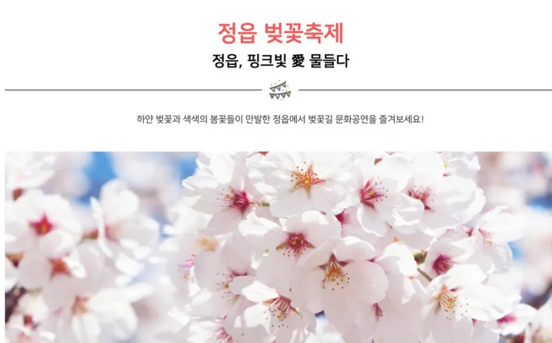 정읍 벚꽃축제
