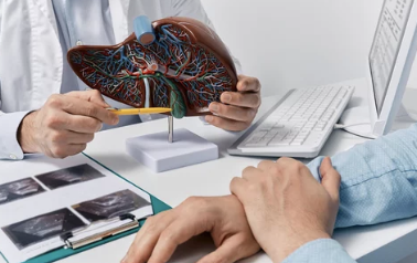 간암(Liver Cancer)