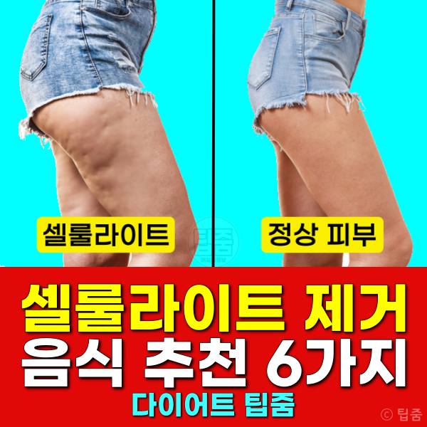 셀룰라이트 제거 음식 셀룰라이트 없애는 음식 콜라겐
