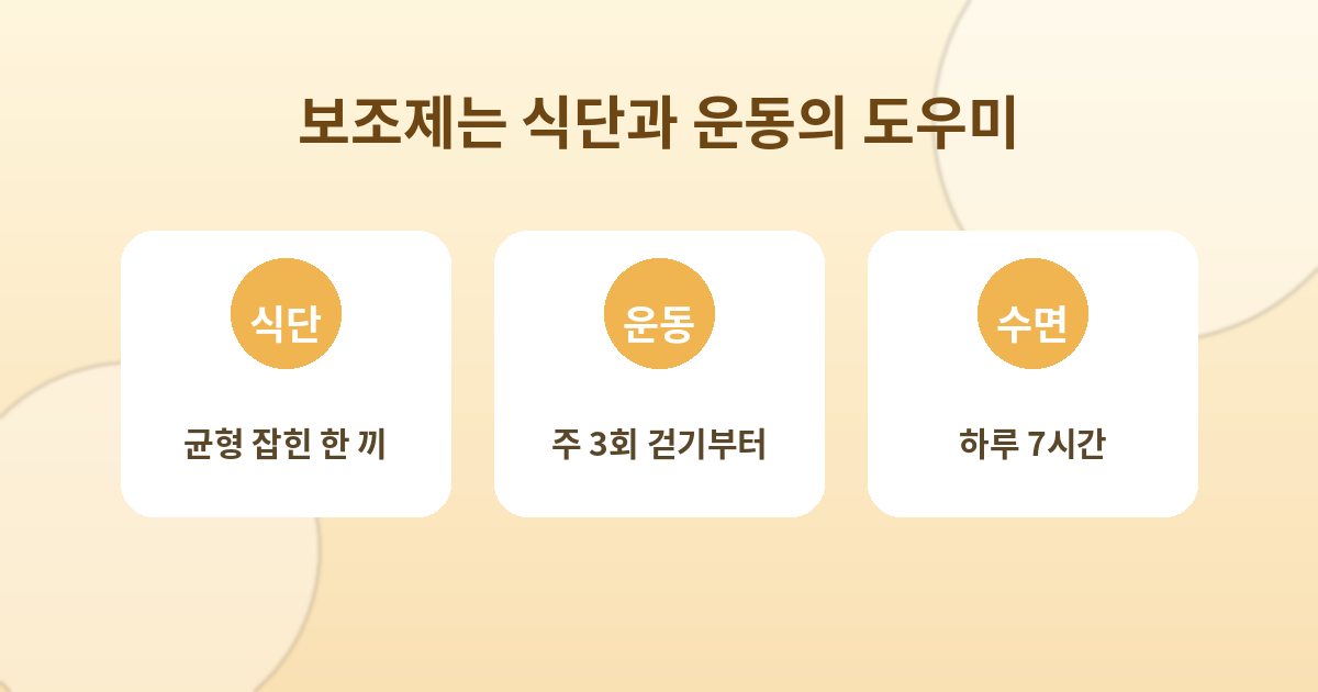 다이어트 보조제 순위