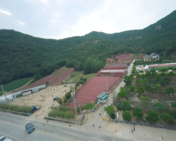 고창 핑크뮬리 축제_15