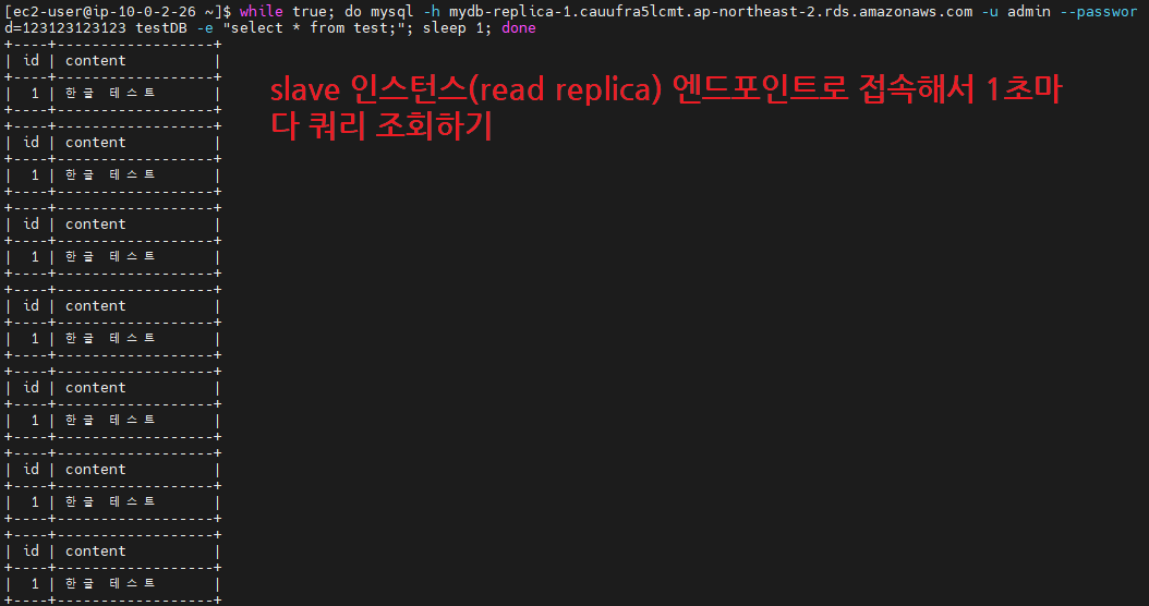 RDS Read Replica