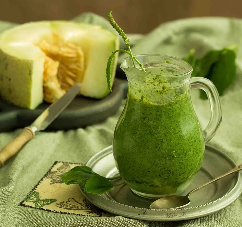 🌿여름 다이어트 디톡스 주스 레시피 총정리!