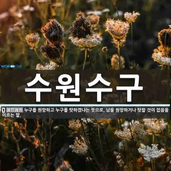 수원수구 뜻 유래 자기반성 의미_10