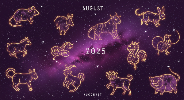 2025년8월21일 오늘의 운세