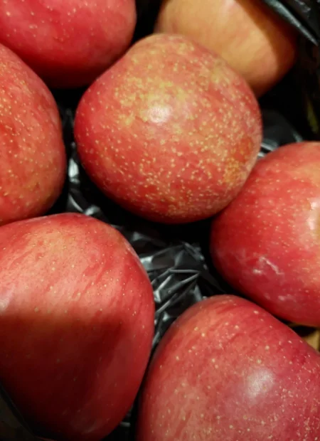 충주-사과꽃마을