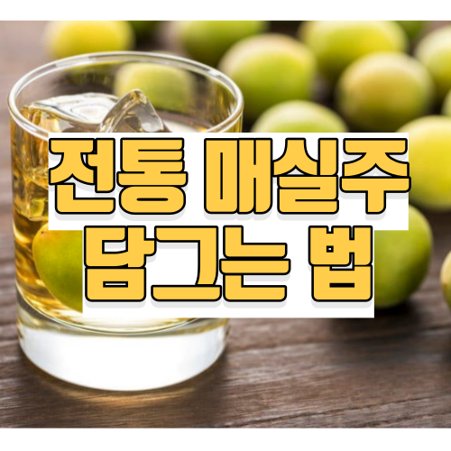 전통 매실주 담그는법