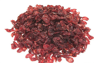 건 산수유 사진