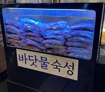 바닷물숙성