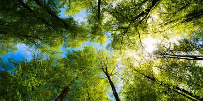 서양에서 ‘녹색’이 한때 악마의 색으로 불렸던 배경